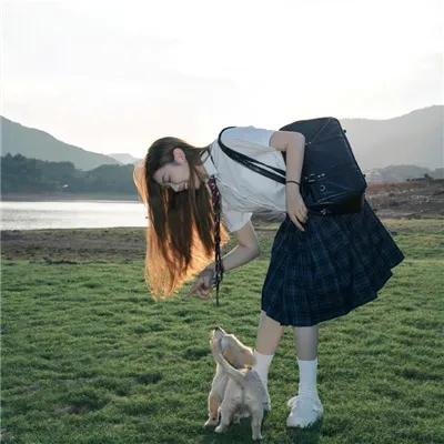 米老鼠之猎犬